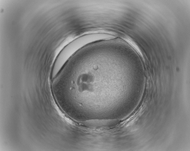 X0000086940813200705071416