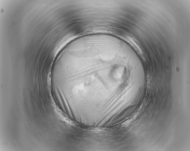 X0000086940814200705071416