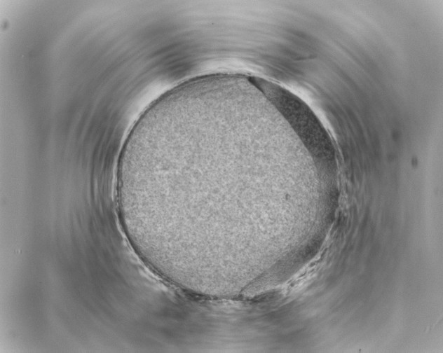 X0000086940815200705071416