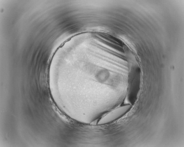 X0000086940816200705071416