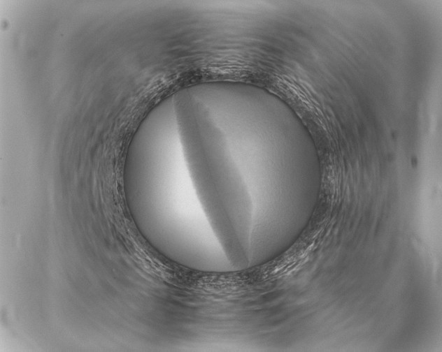 X0000086940817200705071416