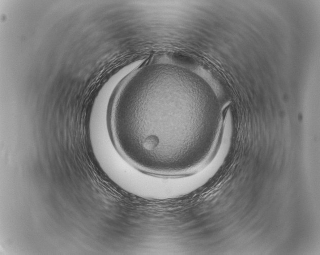 X0000086940818200705071416