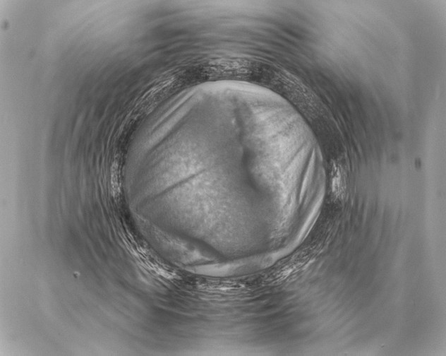 X0000086940819200705071416