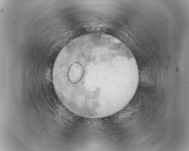 X0000086940820200705071416