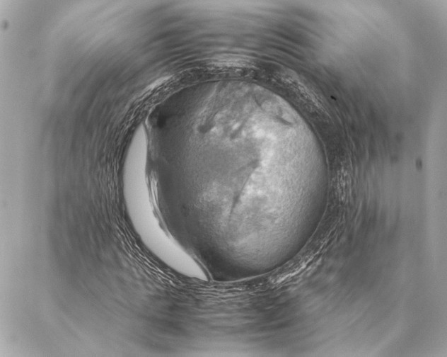 X0000086940821200705071416