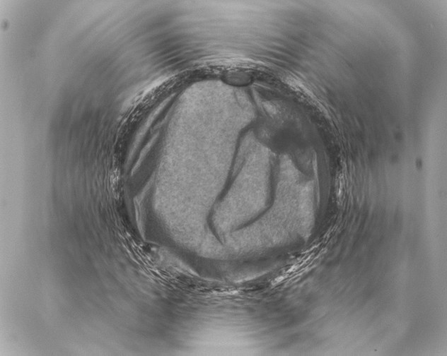 X0000086940822200705071416