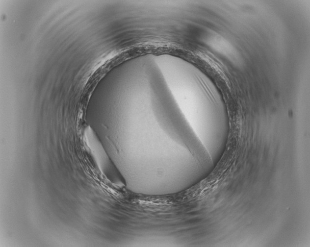 X0000086940823200705071416