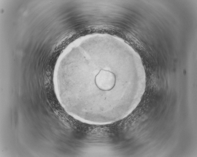 X0000086940824200705071416