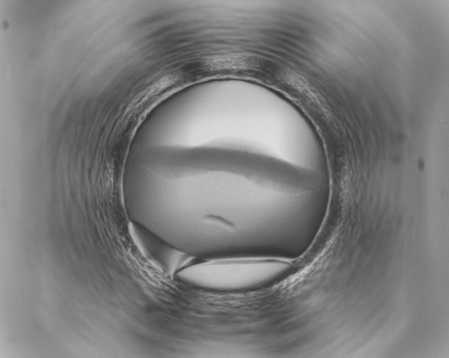 X0000086940825200705071416