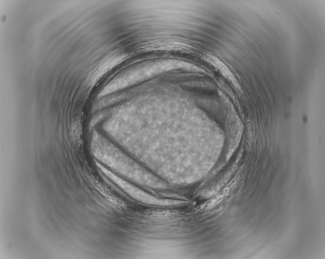 X0000086940826200705071416