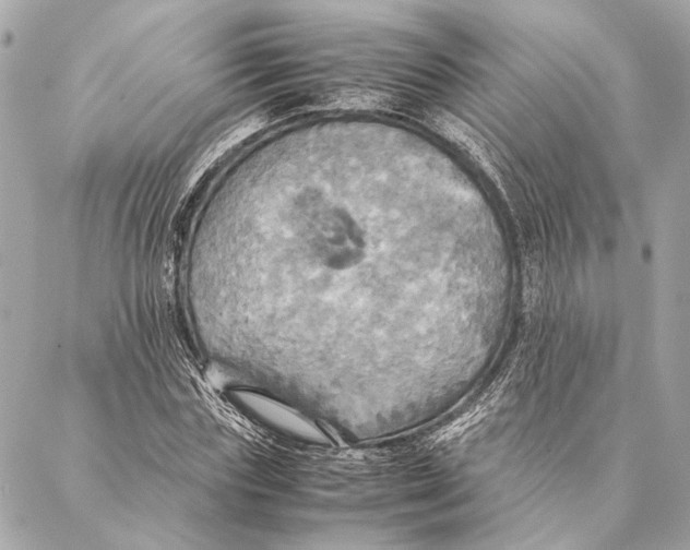 X0000086940827200705071416