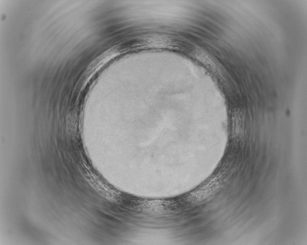 X0000086940828200705071416