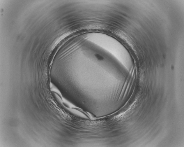 X0000086940829200705071416