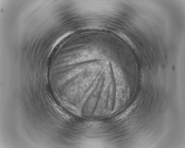 X0000086940830200705071416