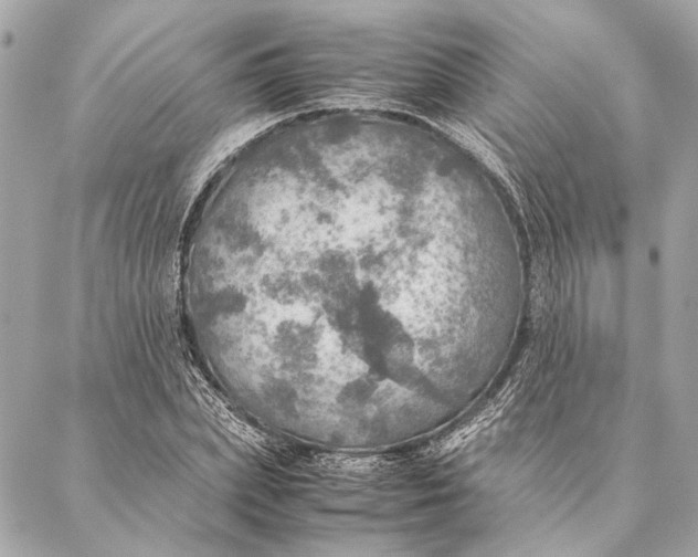 X0000086940831200705071416