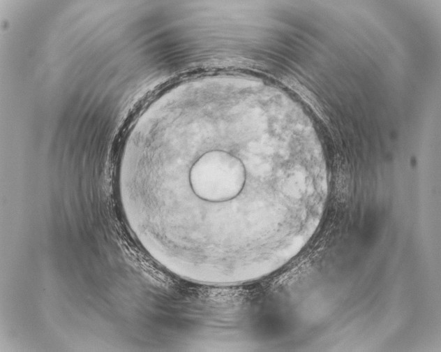 X0000086940832200705071416