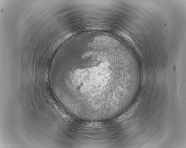 X0000086940833200705071416