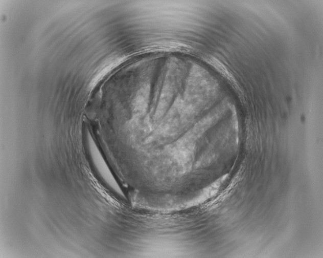 X0000086940834200705071416