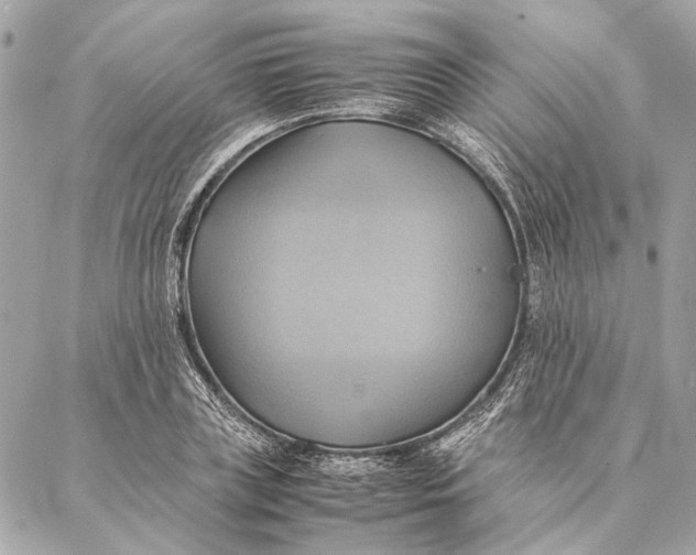 X0000086940835200705071416