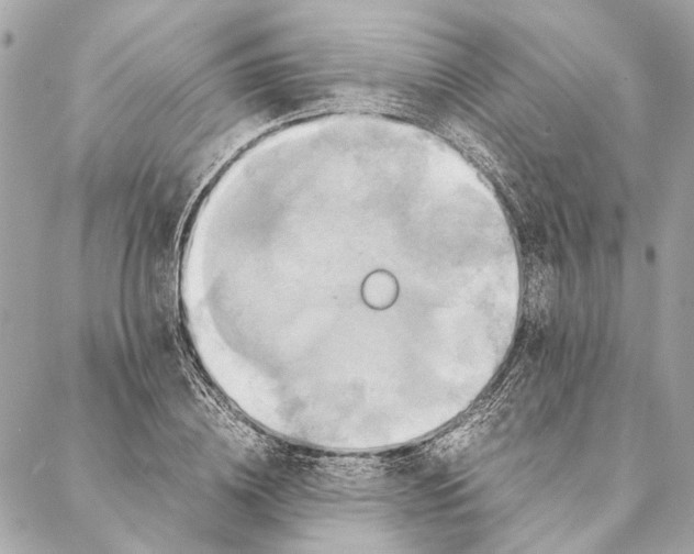 X0000086940836200705071416