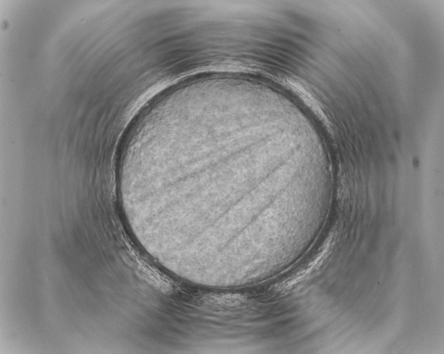 X0000086940837200705071416