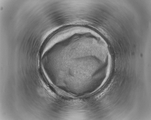 X0000086940838200705071416