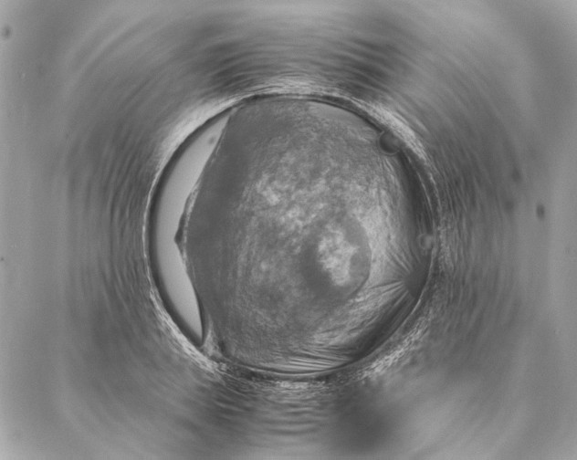 X0000086940839200705071416