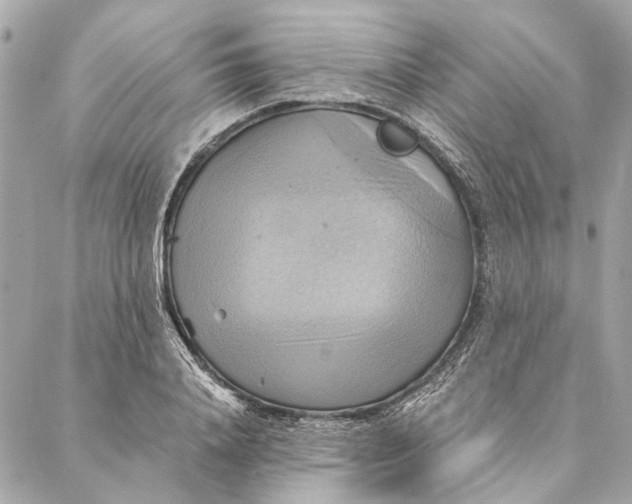 X0000086940840200705071416