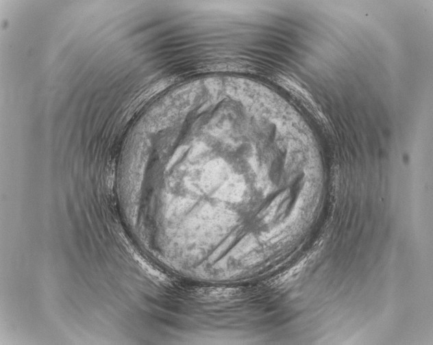 X0000086940841200705071416