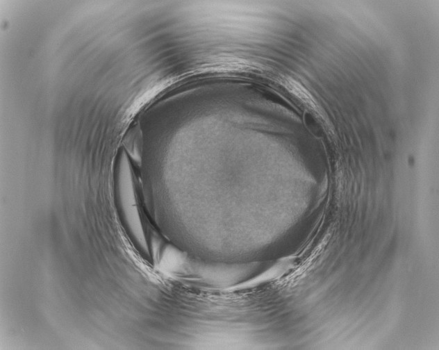 X0000086940842200705071416