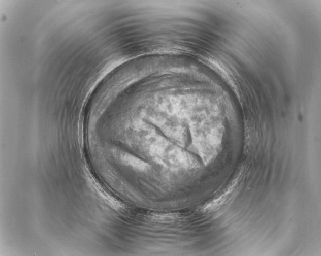 X0000086940843200705071416