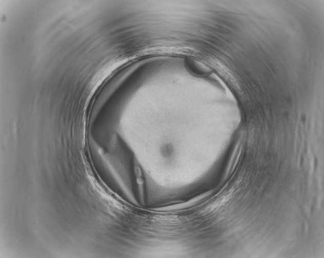 X0000086940844200705071416