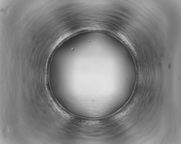 X0000086940845200705071416