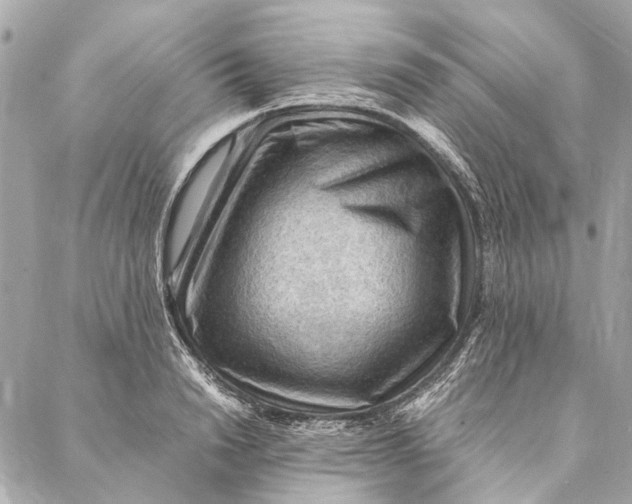 X0000086940846200705071416