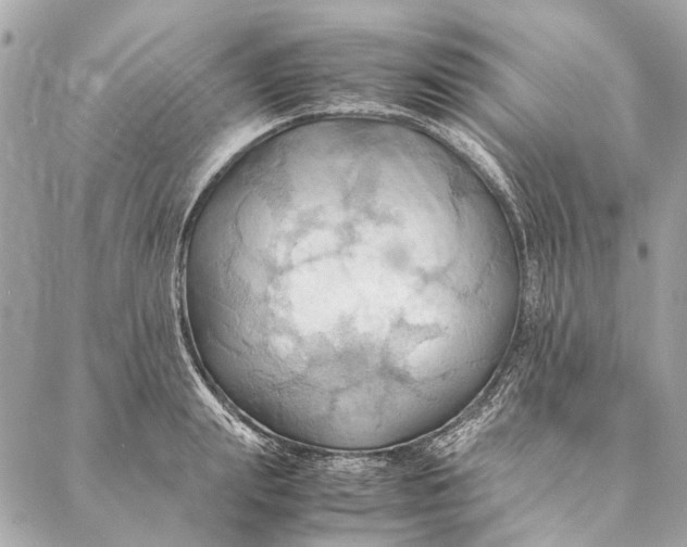 X0000086940847200705071416