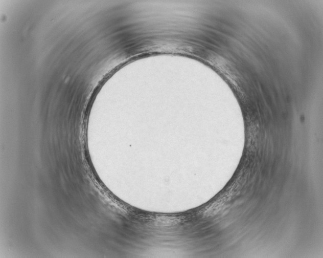 X0000086940848200705071416