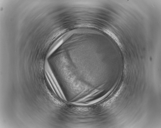 X0000086940849200705071416