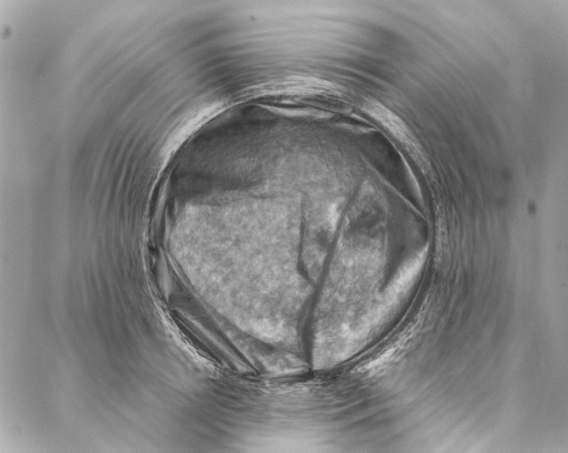 X0000086940850200705071416