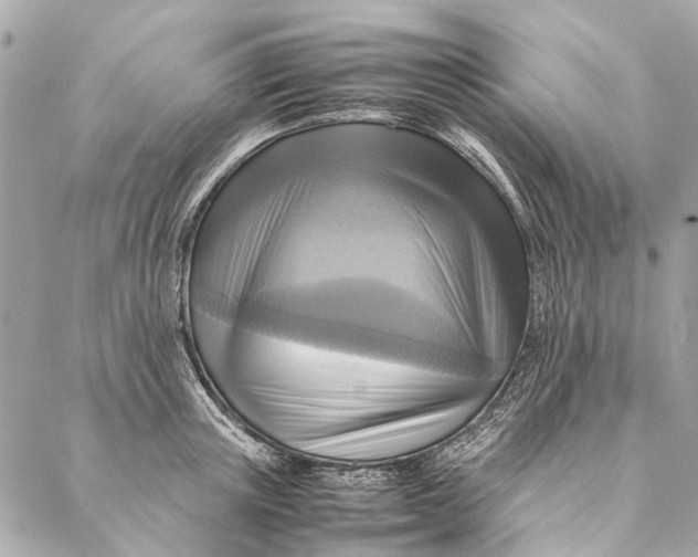 X0000086940851200705071416