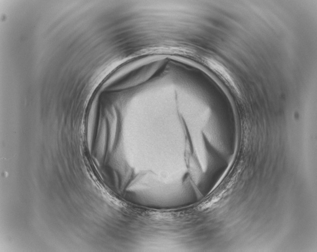 X0000086940852200705071416