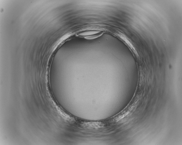 X0000086940853200705071416