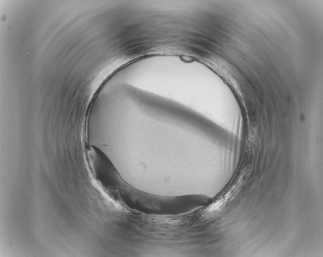 X0000086940855200705071416