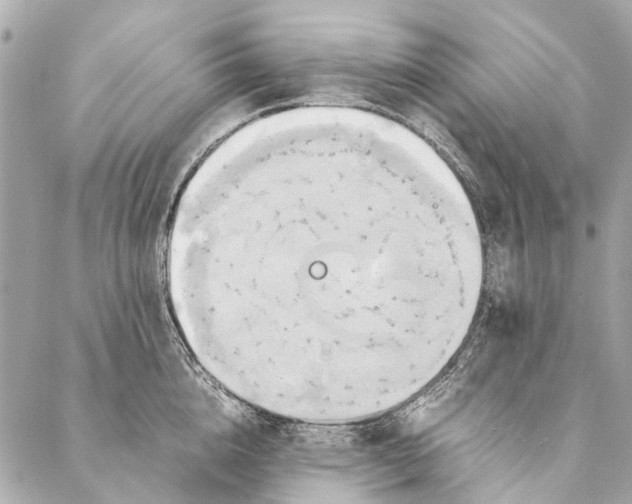 X0000086940856200705071416