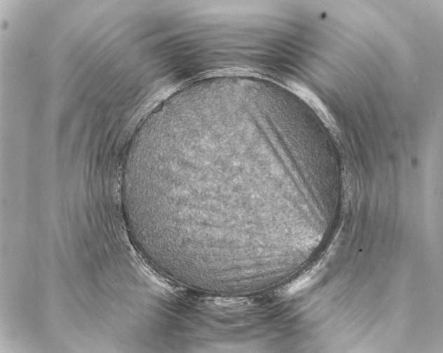 X0000086940857200705071416