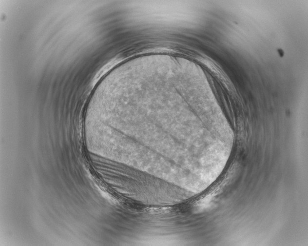 X0000086940858200705071416