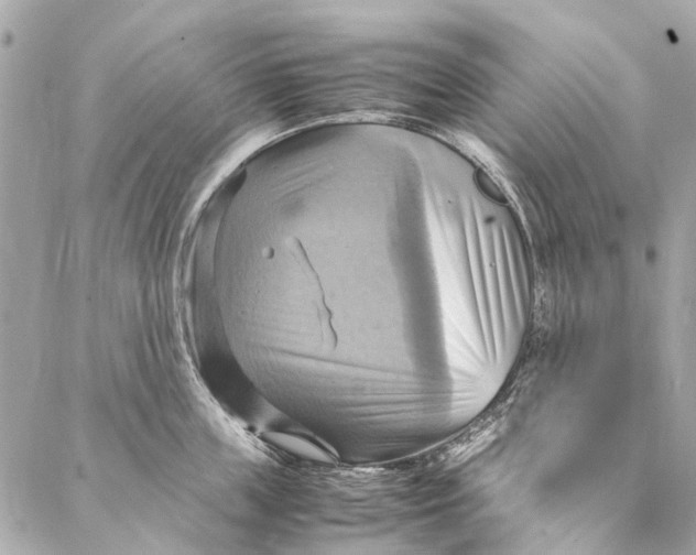 X0000086940859200705071416