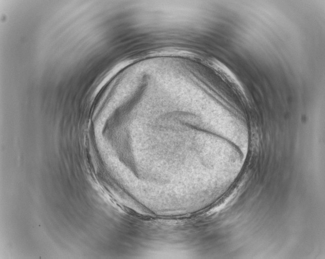 X0000086940860200705071416