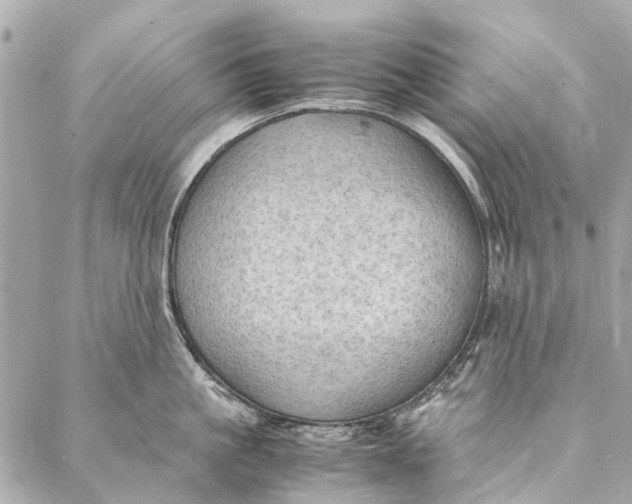 X0000086940861200705071416