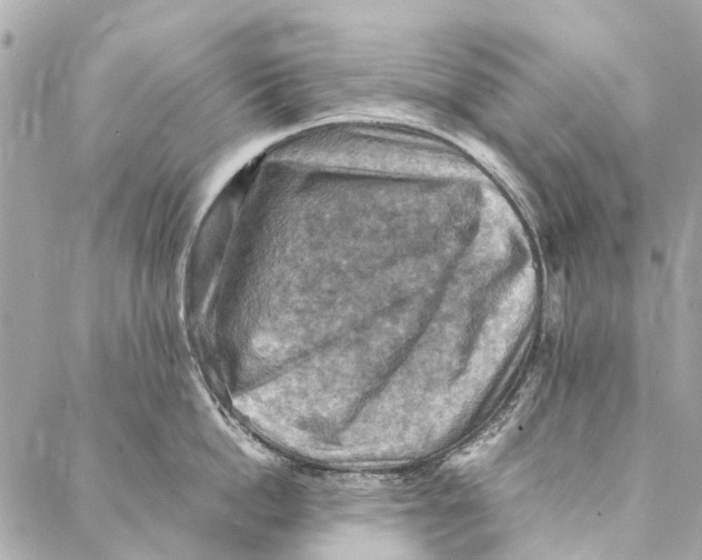 X0000086940862200705071416