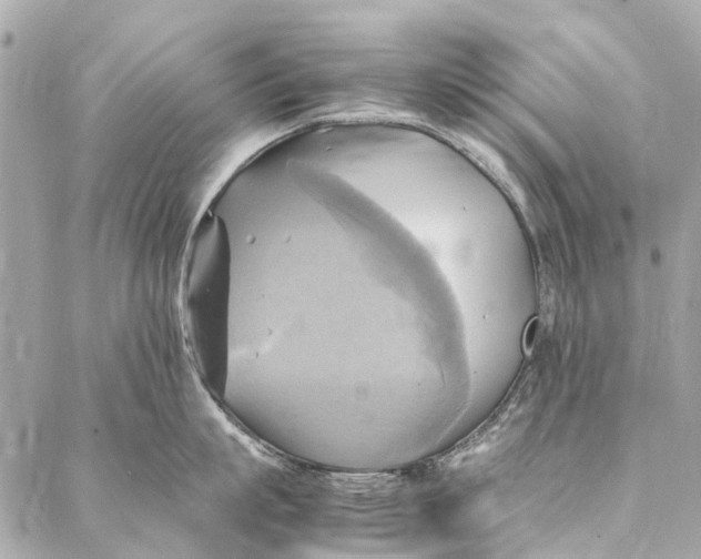 X0000086940863200705071416